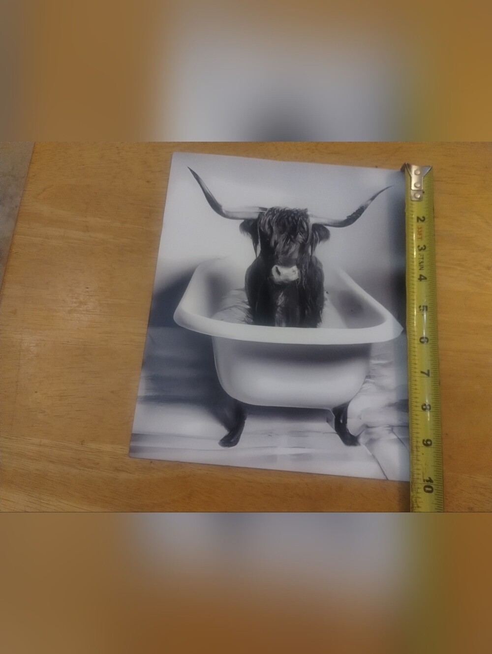 Highland Cow Bathtub Wall Art Print Black White Rustic Farmhouse Decor 8x10